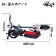 画像4: ボードバイク1000W For Leisure 公道走行不可 ハイパワー電動キックボード (4)