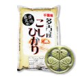 画像1: 千葉県多古産 無洗米 こしひかり 5ｋｇ×1袋 徳川献上米 令和3年産 (1)