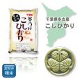 画像2: 千葉県多古産 白米 こしひかり 10ｋｇ [5ｋｇ×2袋] 徳川献上米 令和4年産 (2)