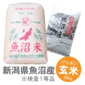 画像1: 新潟県 魚沼産 玄米 こしひかり 30kg 令和２年産　特A米