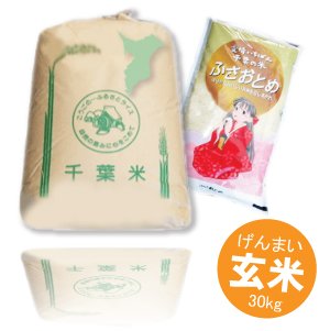 画像2: 千葉県産 玄米 ふさおとめ 30kg 令和4年産 県推奨品種 向後米穀