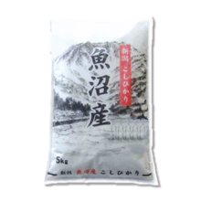詳細写真2: 新潟県 魚沼産 無洗米 こしひかり 5kg×1袋 令和元年産　特A米