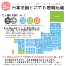 詳細写真3: 「2cs」ミニッツメイド朝リンゴ 180gパウチ(24本入)×2箱