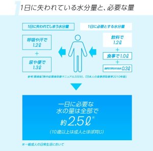 画像7: 「25袋」アクエリアス パウダー 48g ×5袋×5組 粉