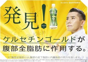 画像6: 「24本」 伊右衛門 特茶 500ml 24本×1箱 特定保健用食品　サントリー