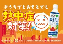 詳細写真2: 「24本」塩ライチ&ヨーグルト　グリーンダカラ　缶　350ml ×24本×1箱　サントリー