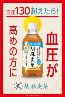 詳細写真2: 「24本」胡麻麦茶　350ml ×24本×1箱　サントリー　お茶　特定保健用食品