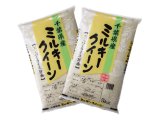 千葉県産 白米 ミルキークイーン 10ｋｇ [5kg×2袋] 令和6年産 向後米穀