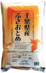 千葉県産 無洗米 ふさおとめ 5kg×1袋 令和6年産 県推奨品種