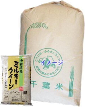 画像1: 千葉県産 玄米 ミルキークイーン 30kg 令和6年産 向後米穀