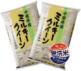 千葉県産 無洗米 ミルキークイーン 10ｋｇ [5kg×2袋] 令和6年産 向後米穀