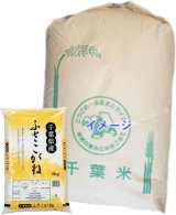 千葉県産 玄米 ふさこがね 30kg 令和6年産 向後米穀