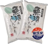 新潟県 魚沼産 無洗米 こしひかり 10kg [5kg×2袋] 令和6年産 特A米