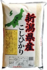 新潟県産 白米 こしひかり 5kg×1袋 令和6年産