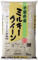 千葉県産 白米 ミルキークイーン 5kg×1袋 令和6年産 向後米穀