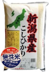 新潟県産 無洗米 こしひかり 5kg×1袋 令和6年産