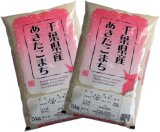 千葉県産 白米 あきたこまち 10kg [5ｋｇ×2袋] 令和6年産