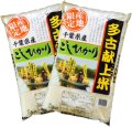 千葉県多古産 白米 こしひかり 10ｋｇ [5ｋｇ×2袋] 徳川献上米 令和6年産