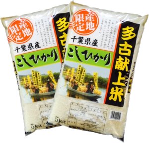 画像1: 千葉県多古産 白米 こしひかり 10ｋｇ [5ｋｇ×2袋] 徳川献上米 令和6年産