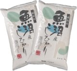 新潟県 魚沼産 白米 こしひかり 10kg [5kg×2袋] 令和6年産 特A米