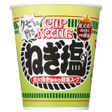 「20個」カップヌードル　ねぎ塩　76g ×20個×1箱　日清