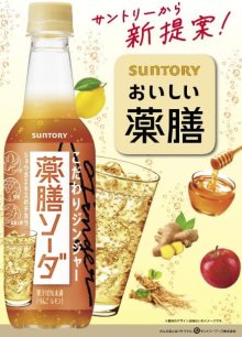 詳細写真1: 「24本」薬膳ソーダ　こだわりジンジャー　390ml ×24本×1箱　サントリー　ジンジャエール