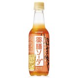 「24本」薬膳ソーダ　こだわりジンジャー　390ml ×24本×1箱　サントリー　ジンジャエール