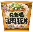 画像1: 「12個」　日清　カップヌードル ねぎ塩謎肉豚丼　112g ×6個×2箱　カップメシ　カレーメシ　ねぎ塩　謎肉　豚丼 (1)