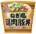 「12個」　日清　カップヌードル ねぎ塩謎肉豚丼　112g ×6個×2箱　カップメシ　カレーメシ　ねぎ塩　謎肉　豚丼