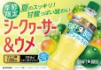 画像3: 「24本」クラフトボス　シークヮーサー ＆ ウメ　500ml ×24本×1箱　サントリー　シークワーサー