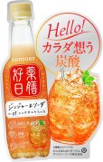 画像4: 「24本」薬膳好日　ジンジャー＆ソーダ　390ml ×24本×1箱　サントリー