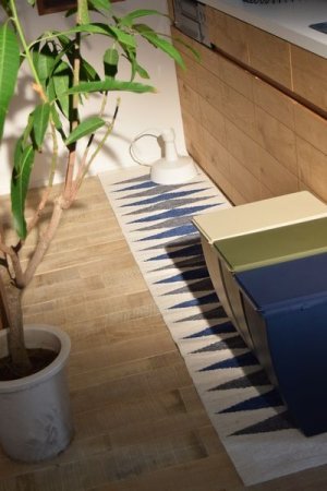 画像6: スリムコンテナ 20L LFS-846GR