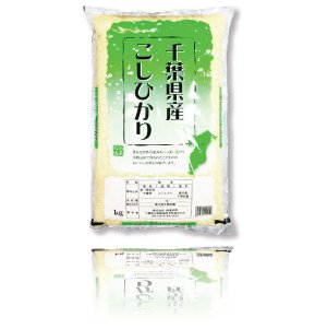 画像1: 千葉県産 白米 こしひかり 5kg×1袋 令和3年産 (1)