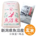 画像: 新潟県 魚沼産 玄米 こしひかり 30kg 令和4年産 特A米