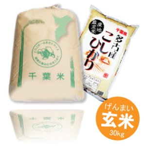 画像2: 千葉県多古産 玄米 こしひかり 30ｋｇ 徳川献上米 令和4年産 (2)