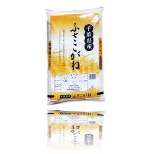 画像1: 千葉県産 白米 ふさこがね 5kg×1袋 令和3年産 向後米穀 (1)
