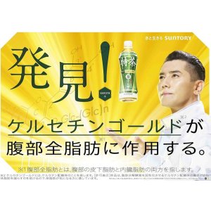 画像6: 「24本」 伊右衛門 特茶 500ml 24本×1箱 特定保健用食品　サントリー (6)