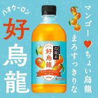 画像: 「24本」烏龍茶　好烏龍　マンゴー＆マンダリンティーエード　500ml ×24本×1箱　ハオウーロン