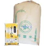 画像: 千葉県産 玄米 ふさこがね 30kg 令和6年産 向後米穀