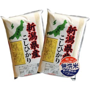 画像1: 新潟県産 無洗米 こしひかり 10kg [5kg×2袋] 令和6年産 (1)