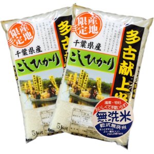 画像1: 千葉県多古産 無洗米 こしひかり 10ｋｇ〜30ｋｇ [5ｋｇ袋] 徳川献上米 令和6年産 (1)