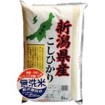 画像: 新潟県産 無洗米 こしひかり 5kg×1袋 令和6年産