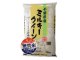 画像: 千葉県産 無洗米 ミルキークイーン 5kg×1袋 令和6年産 向後米穀