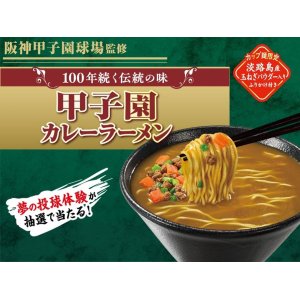 画像2: 「12個」阪神甲子園球場監修　甲子園カレーラーメン　104g ×12個×1箱　エースコック (2)