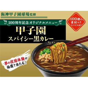 画像2: 「12個」阪神甲子園球場監修　甲子園スパイシー黒カレーラーメン　103g ×12個×1箱　エースコック (2)