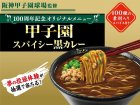 画像: 「12個」阪神甲子園球場監修　甲子園スパイシー黒カレーラーメン　103g ×12個×1箱　エースコック