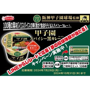 画像3: 「12個」阪神甲子園球場監修　甲子園スパイシー黒カレーラーメン　103g ×12個×1箱　エースコック (3)