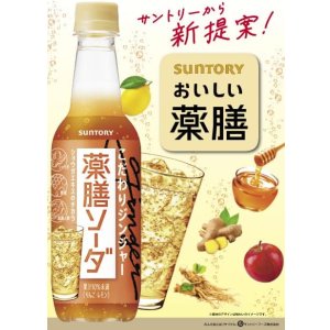 画像3: 「24本」薬膳ソーダ　こだわりジンジャー　390ml ×24本×1箱　サントリー　ジンジャエール (3)