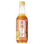 画像: 「24本」薬膳ソーダ　こだわりジンジャー　390ml ×24本×1箱　サントリー　ジンジャエール