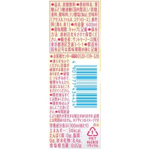 画像4: 「24本」POP メロンソーダ　ミックスフルーツポンチ　600ml ×24本×1箱　サントリー (4)